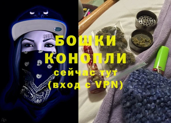 индика Белоозёрский