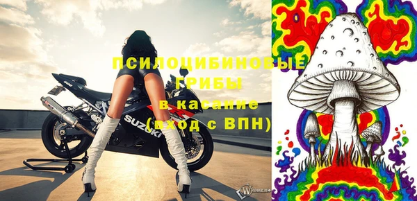 индика Белоозёрский