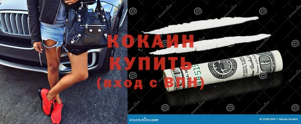 индика Белоозёрский